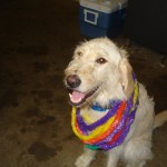 Misfit the party animal
