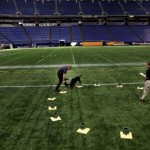 bomb sniffing labs