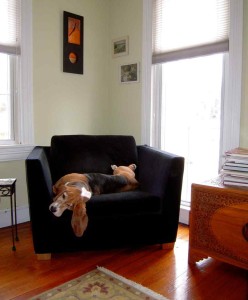 Buster's Surveillance Post