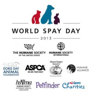 world_spay_day_2013