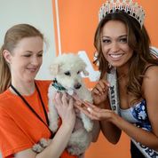 ASPCA - Courtesy of the ASPCA