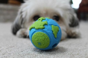 planetdog