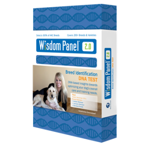 Wisdom Panel