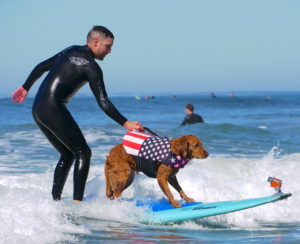 surf dog 
