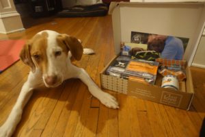 Puppy Jack our "foster fail" with the Puppy Starter Kit from I and Love and You. 