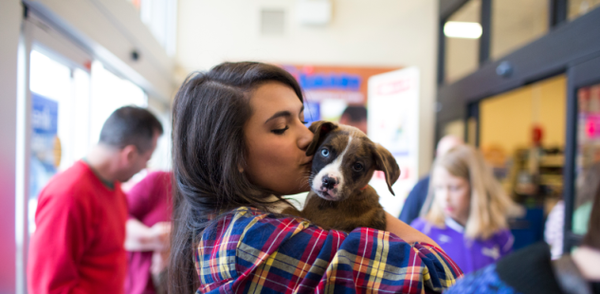 adoption weekend