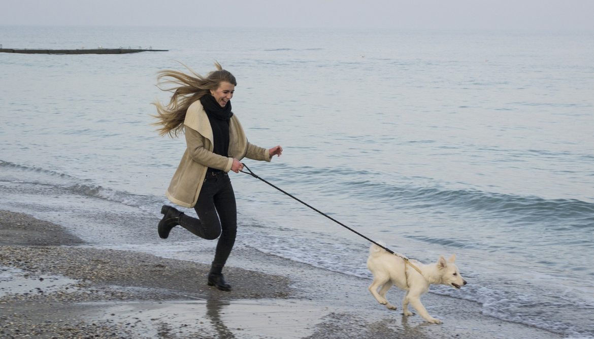 jogging with your dog