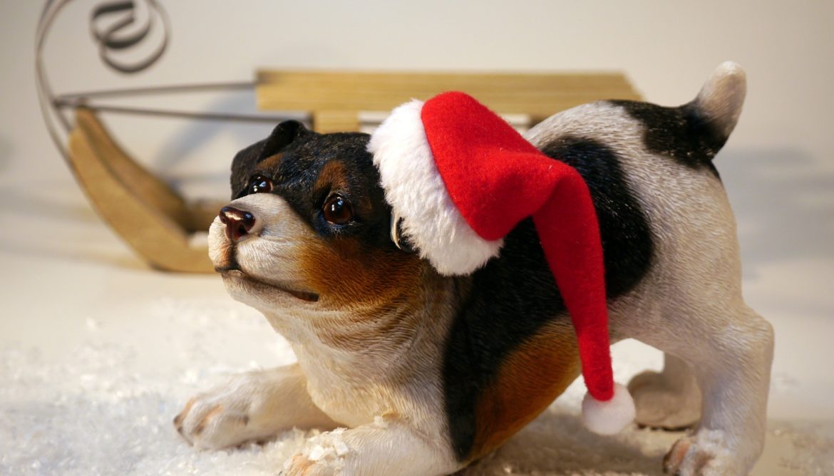 Gifts for Dog Lovers