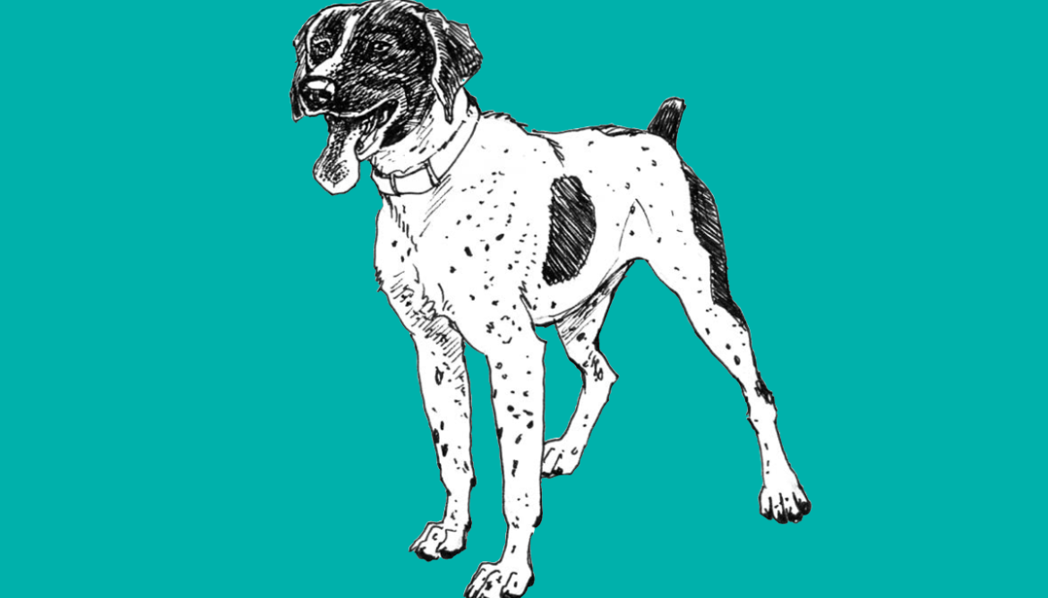 how to draw dogs and puppies