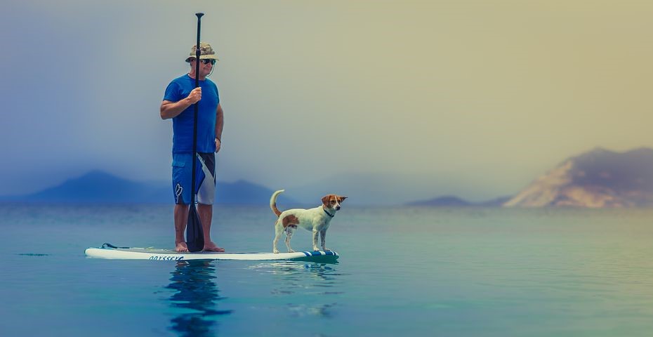 stand up paddle boarding with dogs