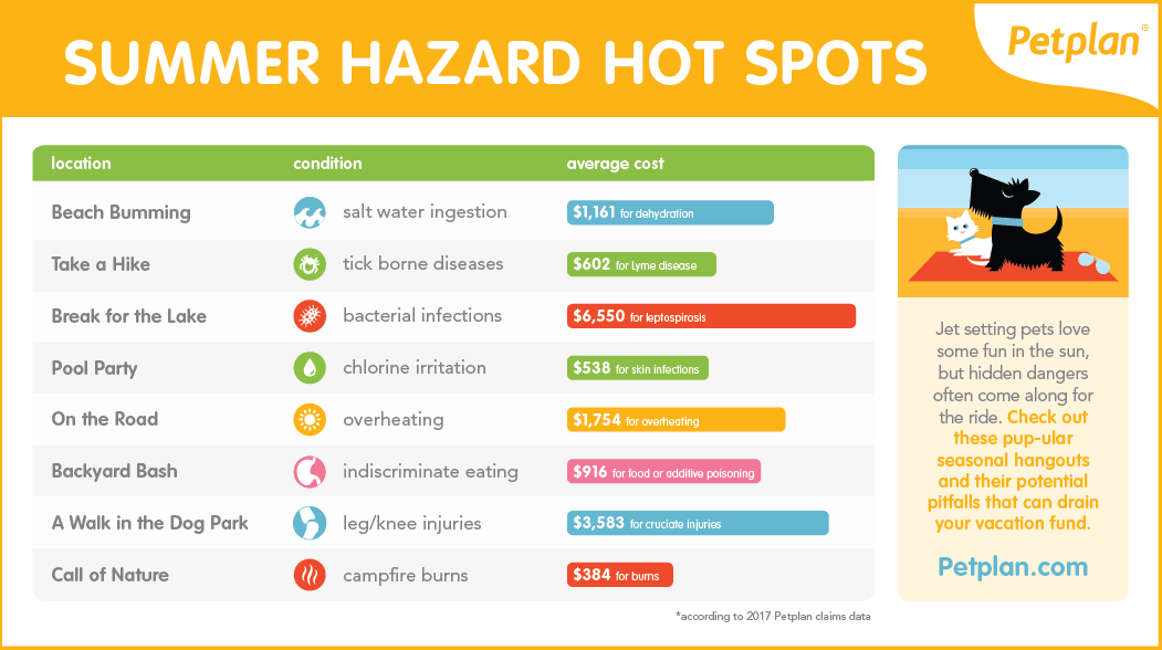 Summer Dog Dangers